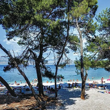 Two-bedroom In Appartement